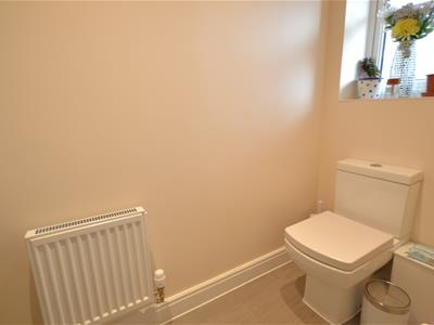 Picture 16